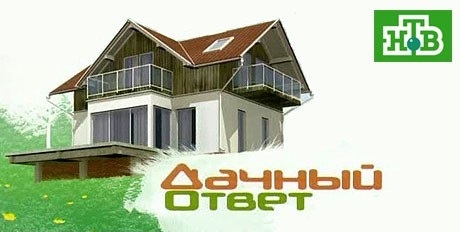 Дачный ответ